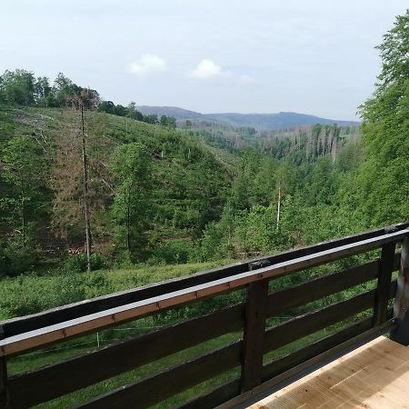 Harz-Butze Διαμέρισμα Sankt Andreasberg Εξωτερικό φωτογραφία